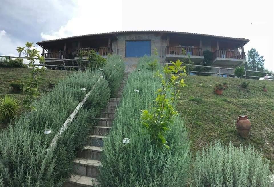 Retiro De Basto Holiday home *